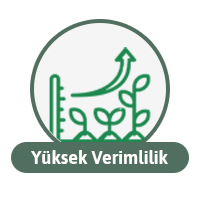 Yüksek Verimlilik