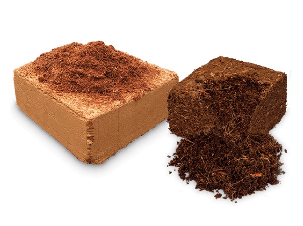 Coco Peat